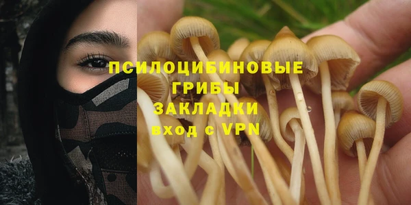 дживик Новозыбков
