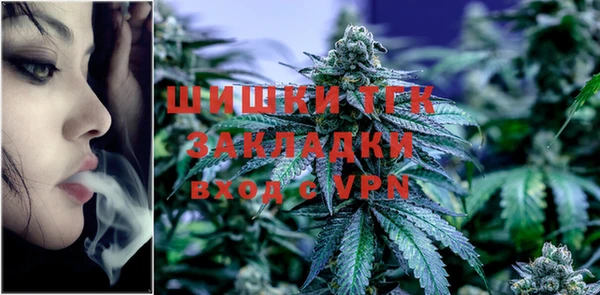 дживик Новозыбков