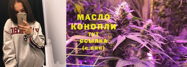 дживик Новозыбков