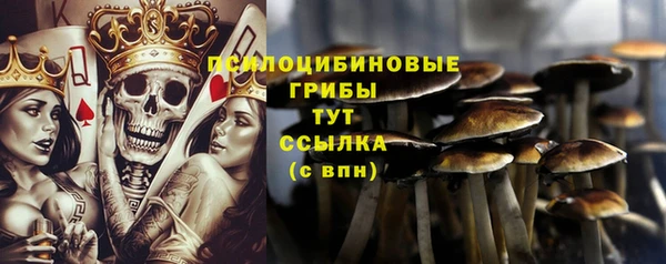 дживик Новозыбков