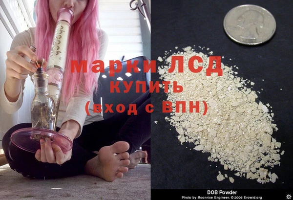 дживик Новозыбков