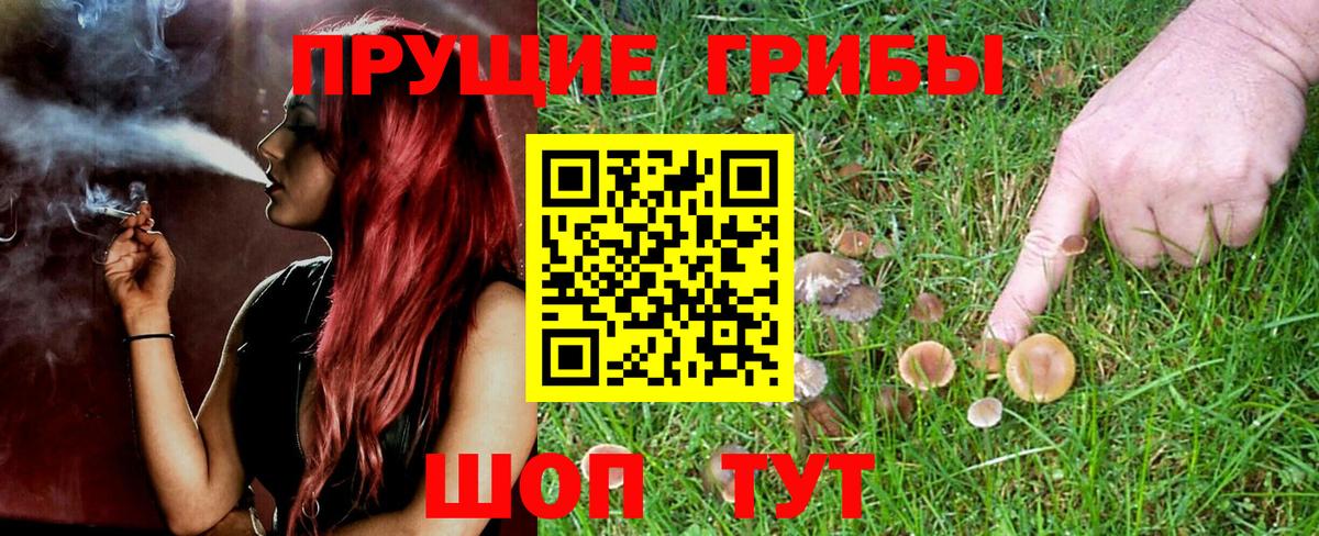 Галлюциногенные грибы MAGIC MUSHROOMS  Галлюциногенные грибы Psilocybe  Вход с VPN  Магнитогорск 