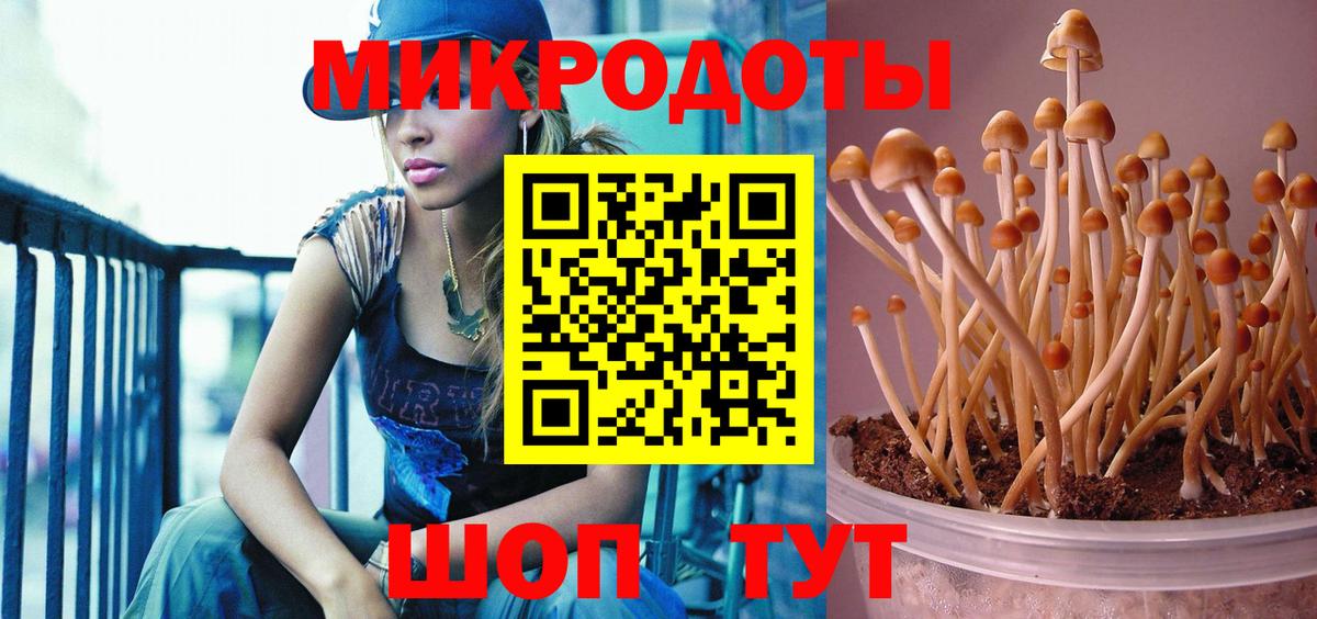 Псилоцибиновые грибы GOLDEN TEACHER Магнитогорск